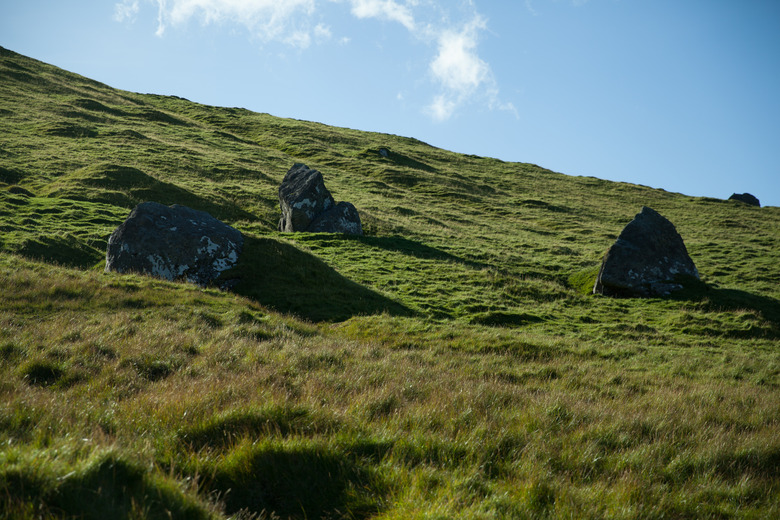 <h3>Climate Patterns in Temperate Grasslands</h3> <br /><h4>Temperature and Precipitation Trends</h4>