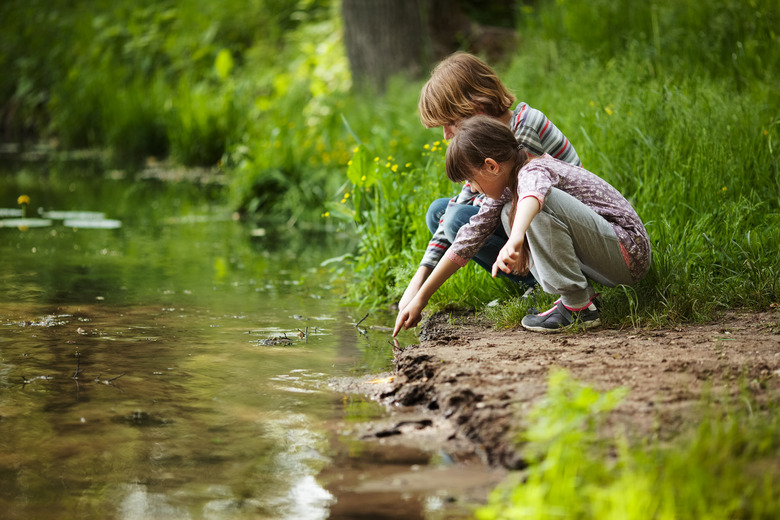 <h3>Lentic and Lotic Ecosystems: An Overview</h3>