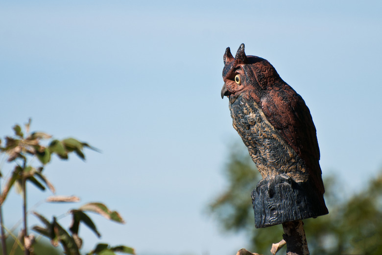 <h3>Understanding the Mechanism of Fake Owls in Deterring Birds</h3>