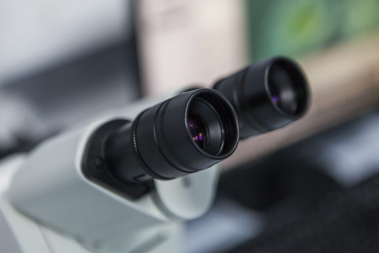<h3>Calculating the Field of View in a Microscope</h3>