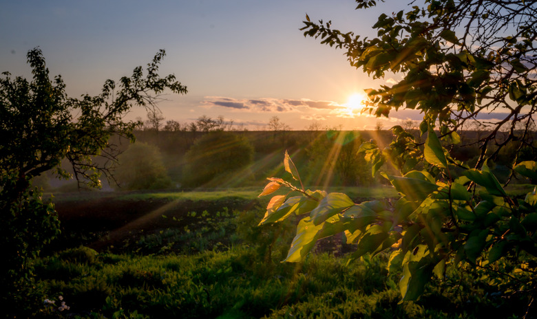 <h3>Can Photosynthesis Happen During the Night?</h3>