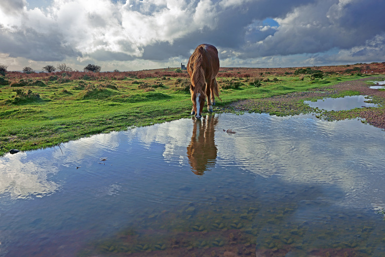 <h3>Exploring Different Types of Water Bodies</h3>