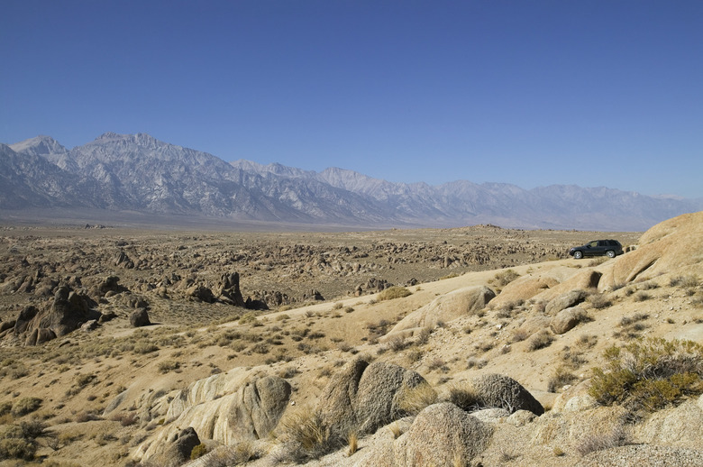 <h3>Exploring Various Types of Desert Fungi</h3>