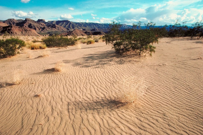 <h3>Understanding the Climate of the Mojave Desert</h3>