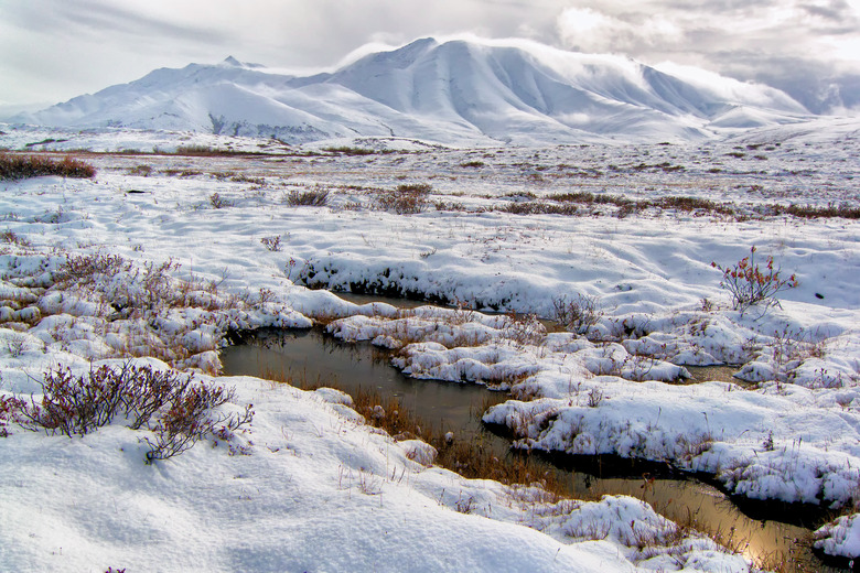 <h3>Which Biome Exhibits the Lowest Level of Biodiversity?</h3>