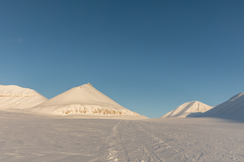 <h3>Exploring Tundra Producers</h3>