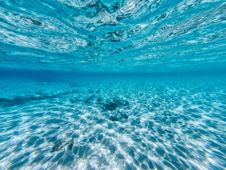 <h3>Features of a Marine Biome</h3>