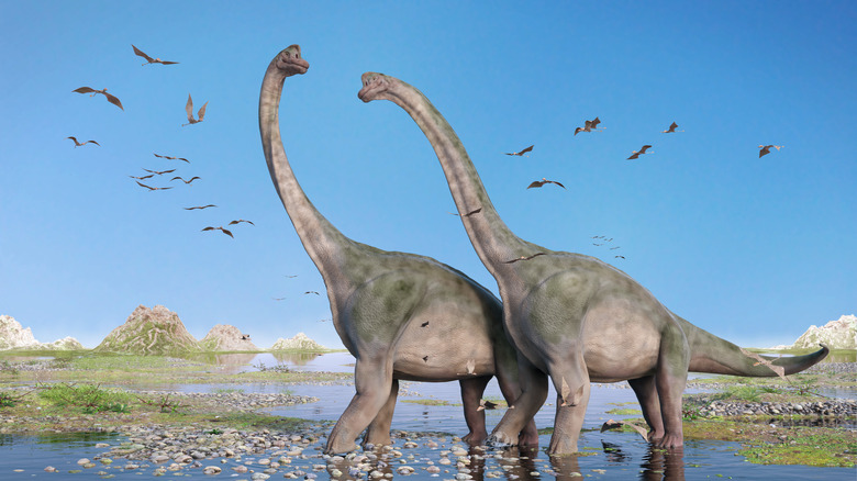 <h3>Exploring Different Types of Long-Necked Dinosaurs</h3>