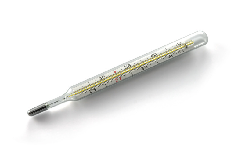 <h3>Components of a Mercury Thermometer</h3>