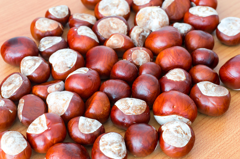 <h3>Differentiating Buckeye Nuts and Horse Chestnuts</h3><br />