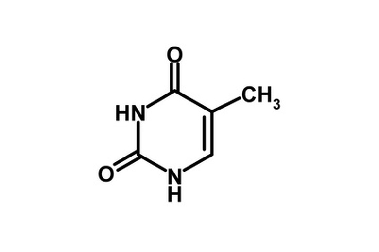 <h3>Calculating the Stoichiometric Ratio</h3> <h4>Note: No number needed</h4>