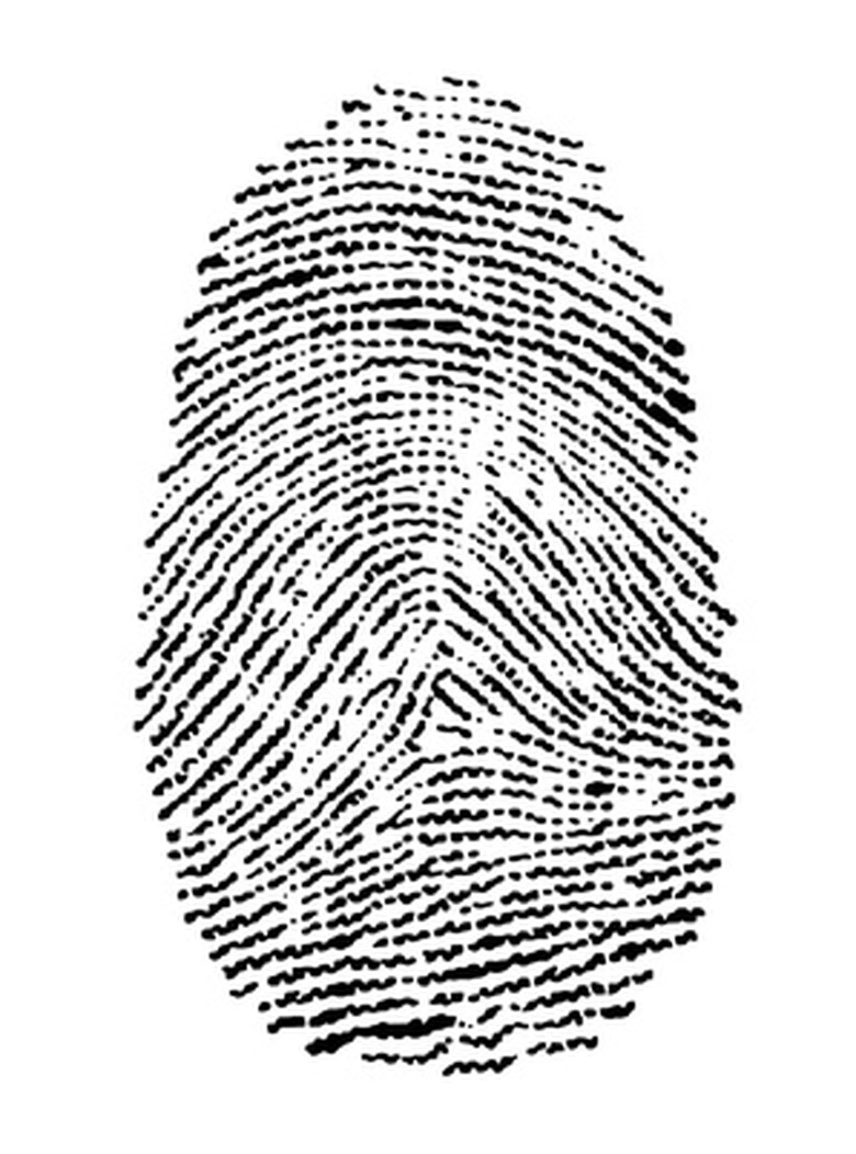 <h3>Guide to Creating a Science Project on Fingerprints</h3>