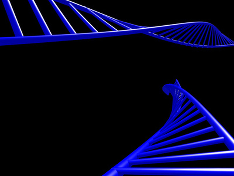 <h3>Creating a DNA Model Using Popsicle Sticks</h3>