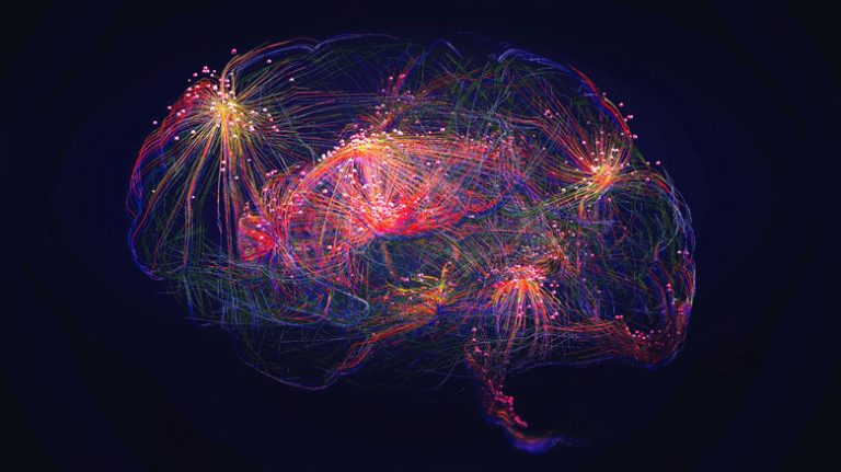 <h3>The Amazing Map Displaying Every Neuron in the Brain</h3>