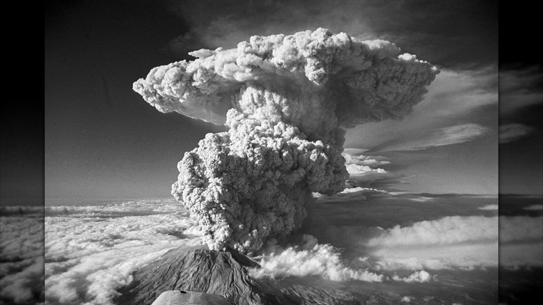 <h3>Washington State Experiences the Most Lethal and Devastating Volcanic Eruption in U.S. History</h3>