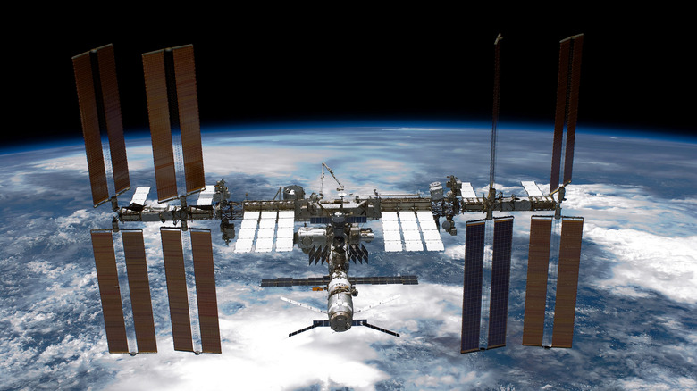 <h3>Discover the Exciting Potential of Stem Cells Grown in Space for Medicine</h3>