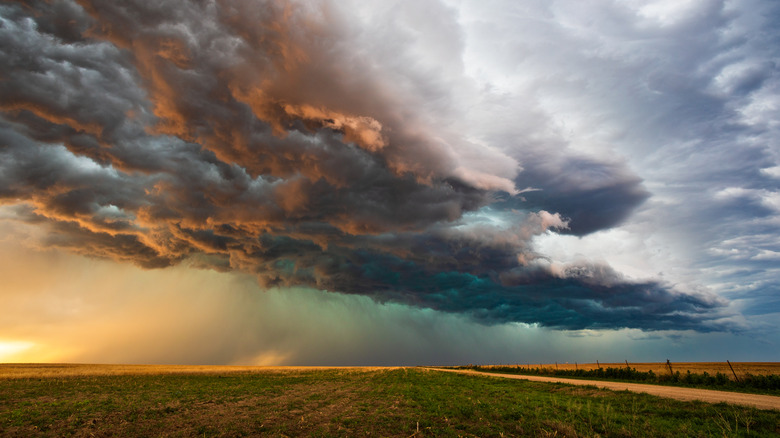 <h3>The Significance of Sensing Rain Before It Arrives</h3>