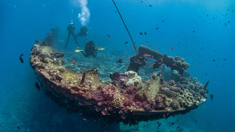 <h3>The Remarkable Scientific Discovery Previously Confused with a Shipwreck</h3>