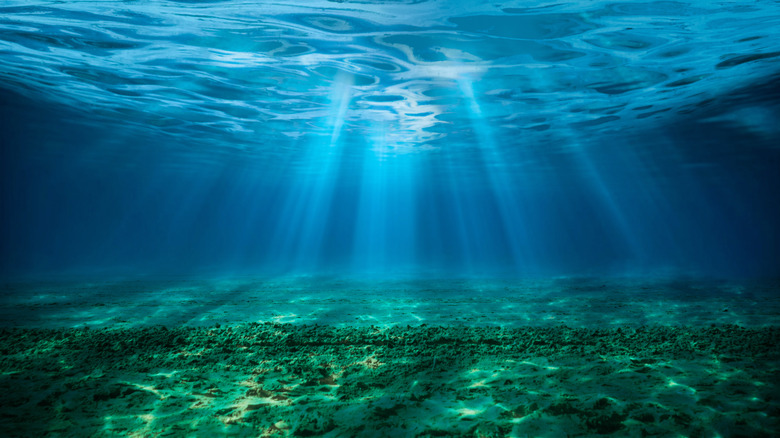 <h3>Earth's Oceans Are Changing: The Emergence of a Sixth Ocean</h3>