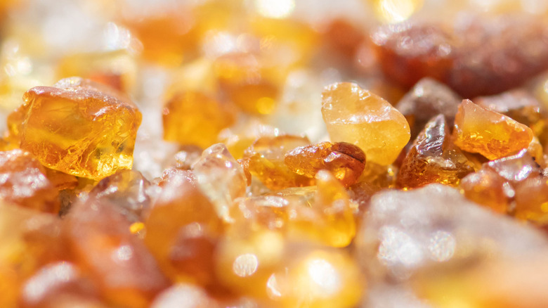 <h3>Discovery of Amber in Antarctica Uncovers Evidence of a Warmer Ancient Climate</h3>