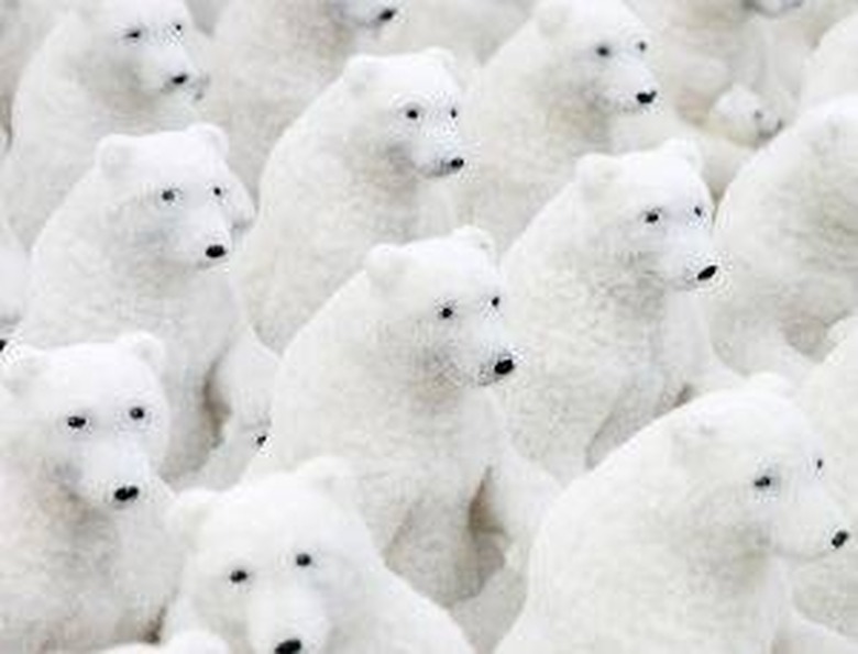 <h3>Understanding Polar Bear Camouflage</h3>